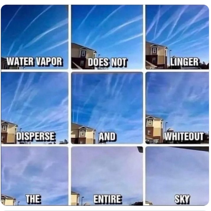 Valerie Anne Smith tweet media