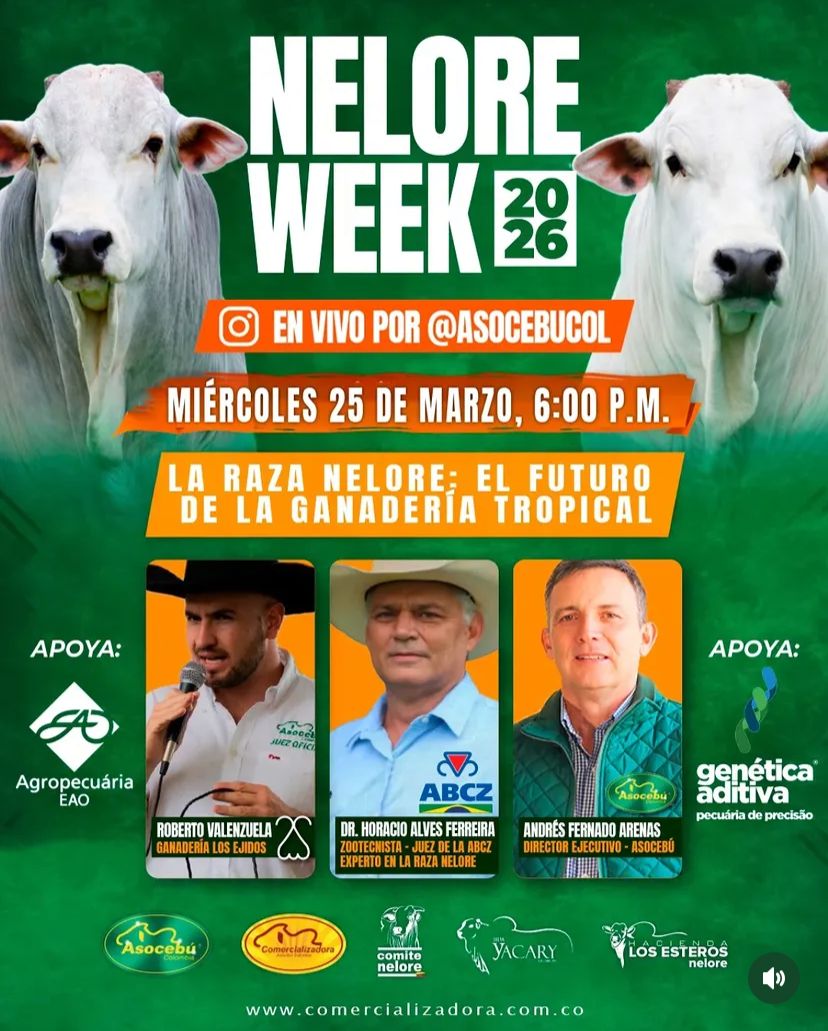 Sur de Bolivar Pasion Ganadera tweet media