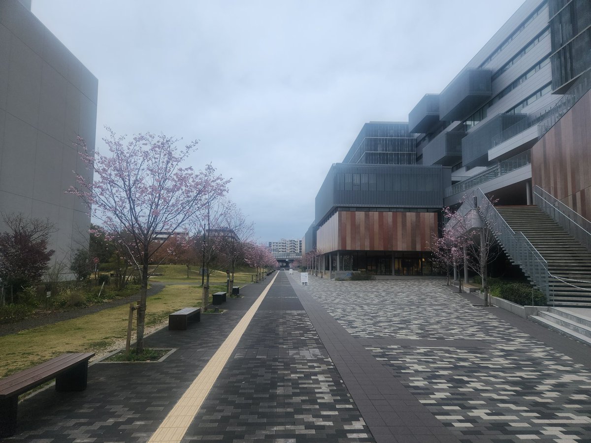出羽 tweet media