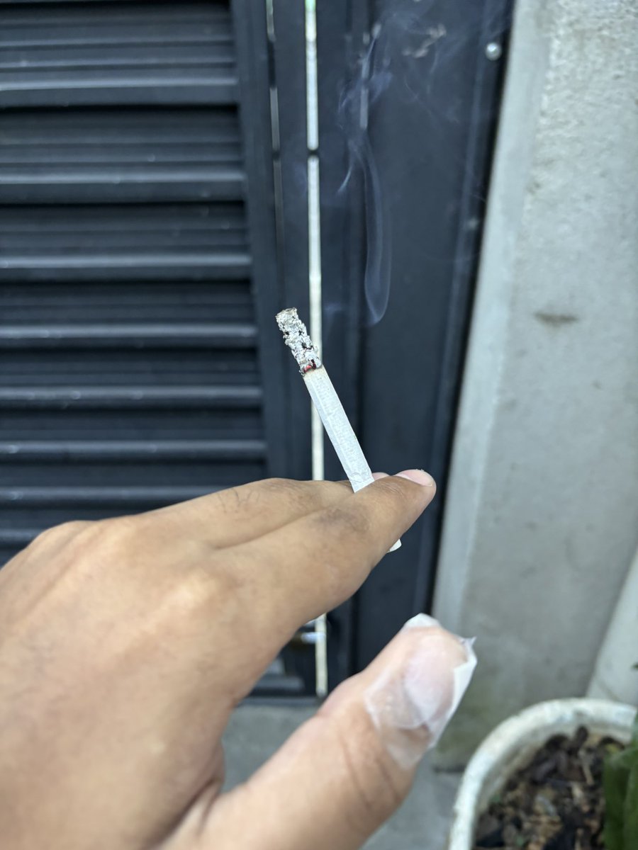 sabrino carpinto tweet media