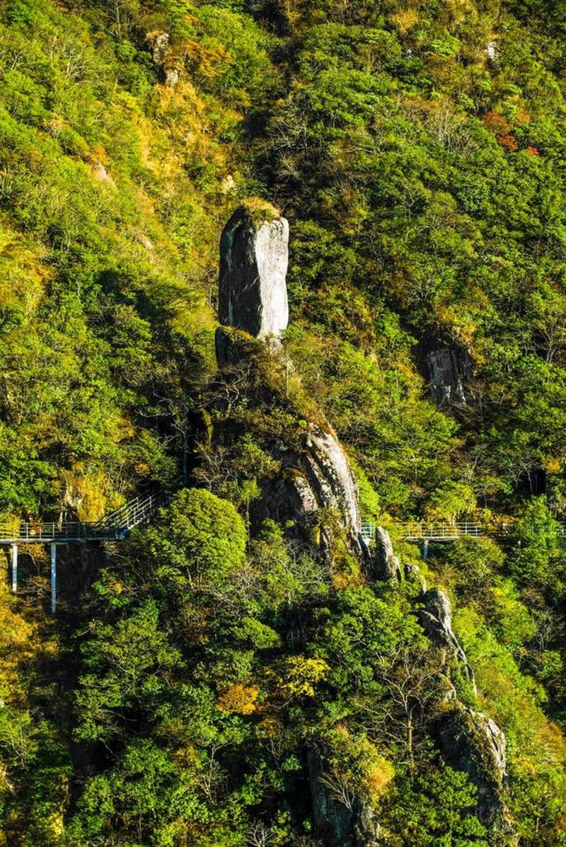 steve brown tweet media