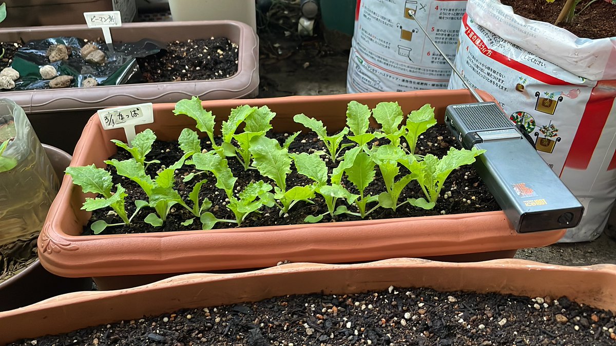 かごしまSS167 JE6AKP tweet media