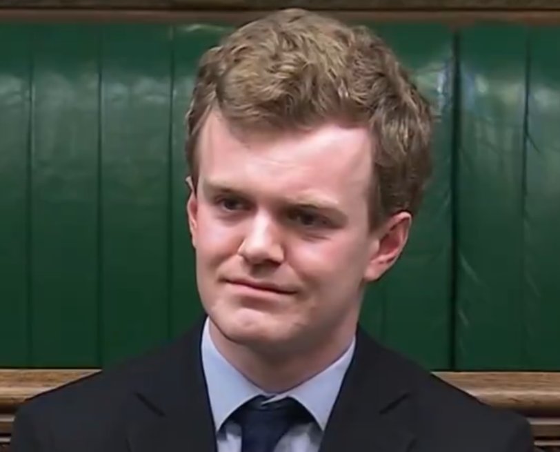 ☘️GREEN FOX☘️ tweet media