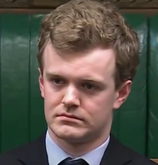 ☘️GREEN FOX☘️ tweet media