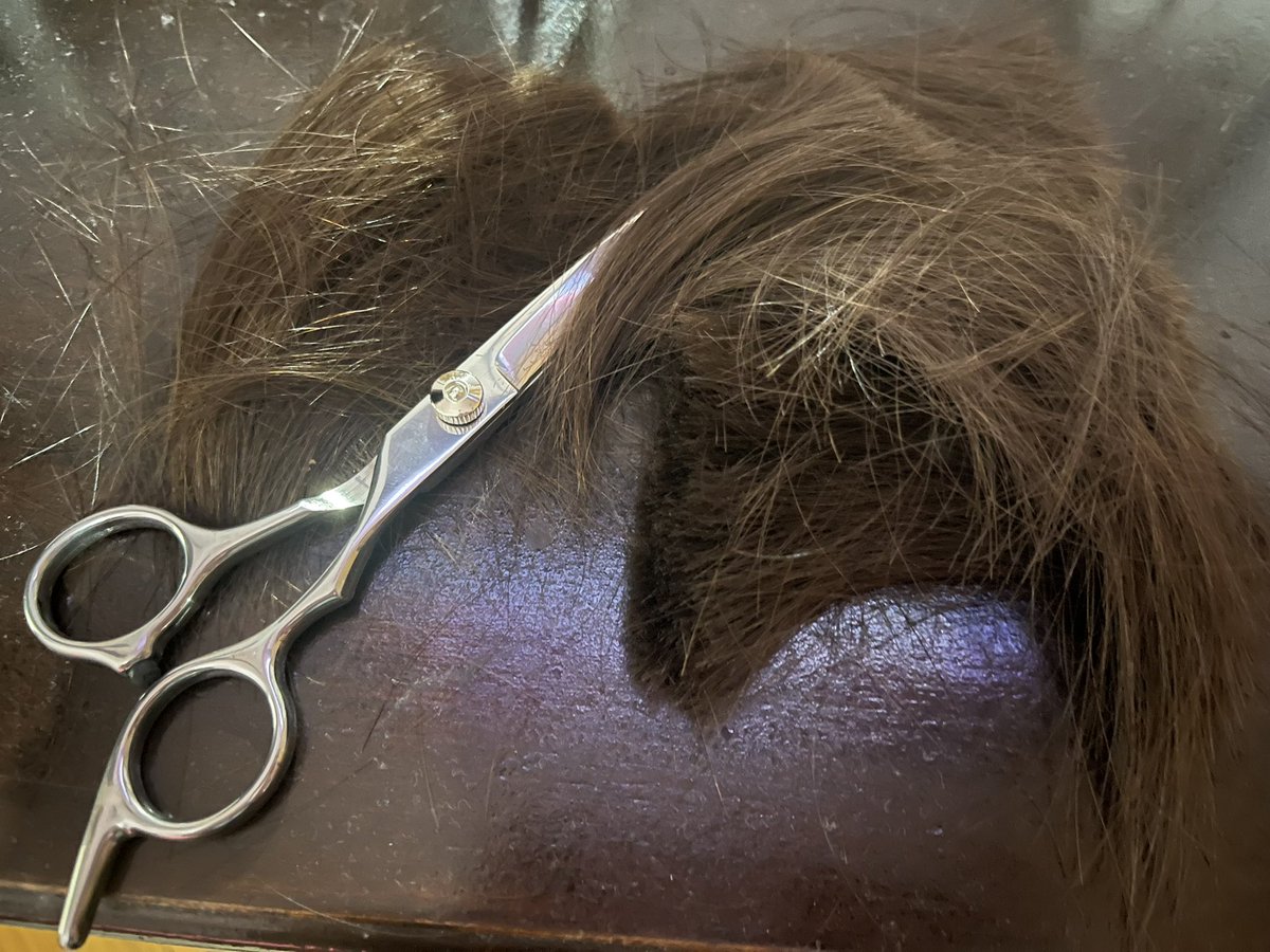 Milica Samardžić tweet media