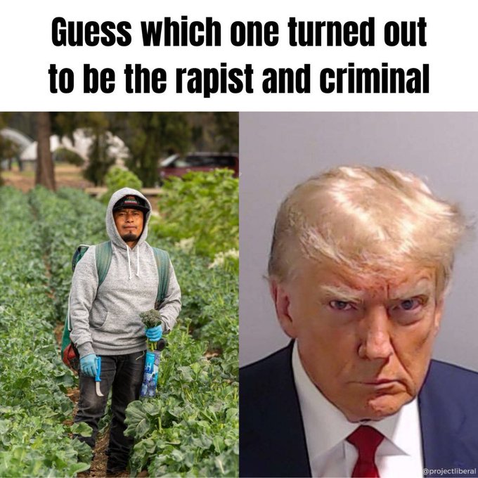 Libertarian Stan tweet media