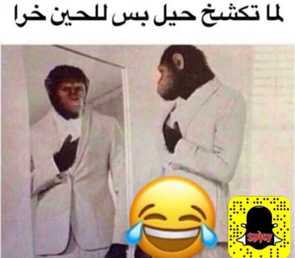 𝐀𝐋𝐈 tweet media