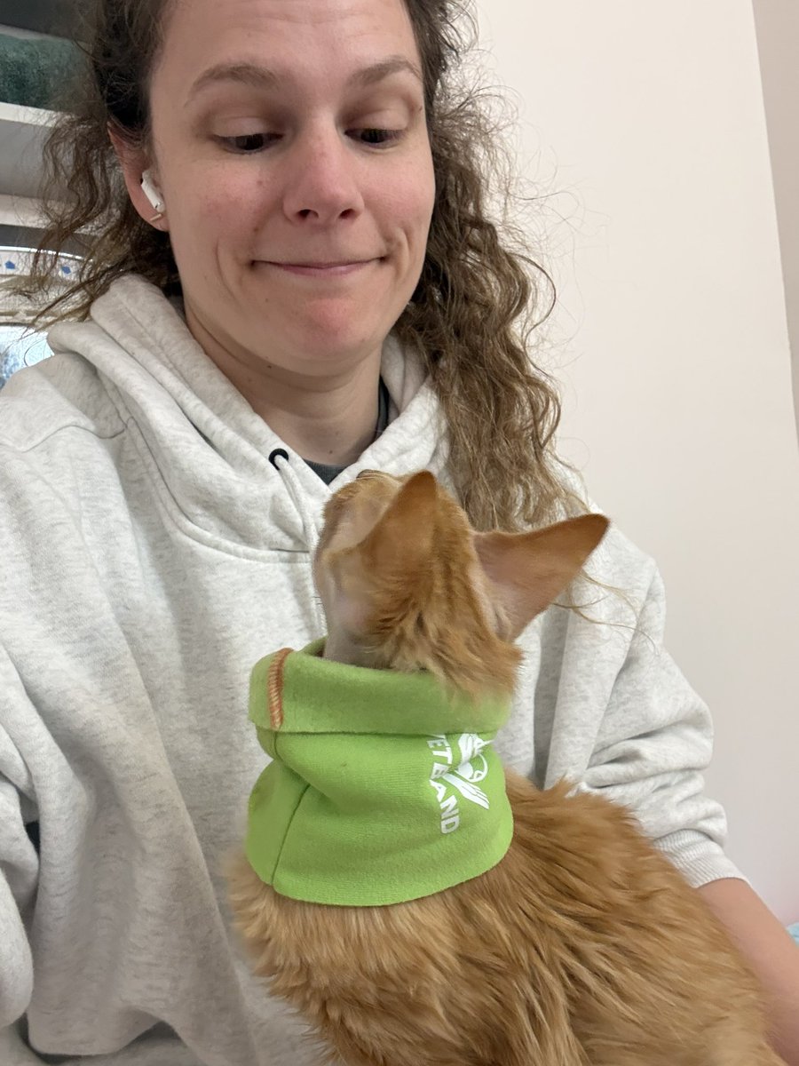 Sarah Fletcher tweet media