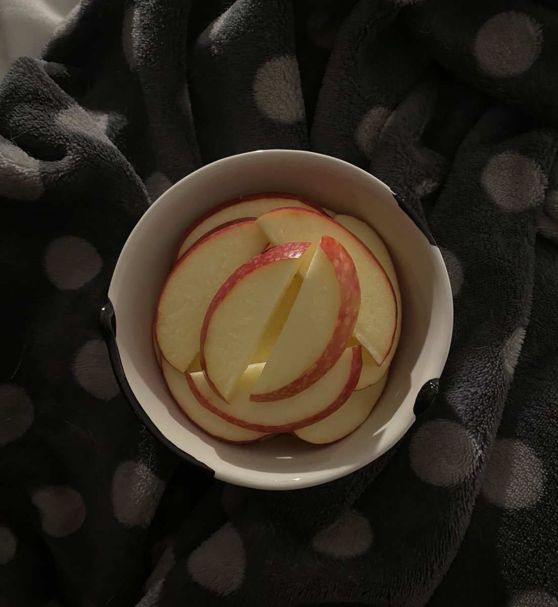 elara🐾 tweet media