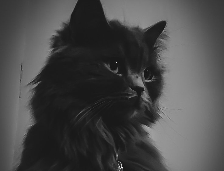 𝒥𝖾𝒛𝖾𝖻𝖾𝒍 tweet media