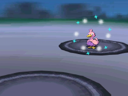 SH_Niklas tweet media