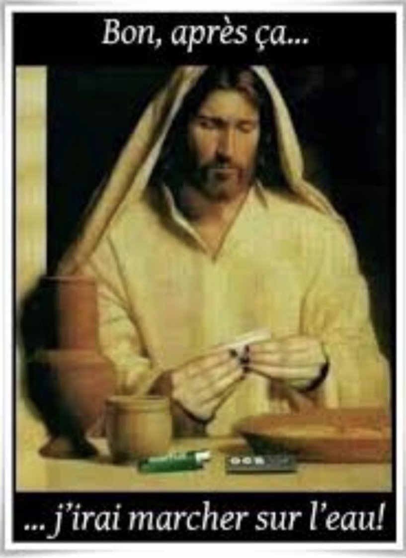 Jonluk 🐢φ🔻🇵🇸 tweet media