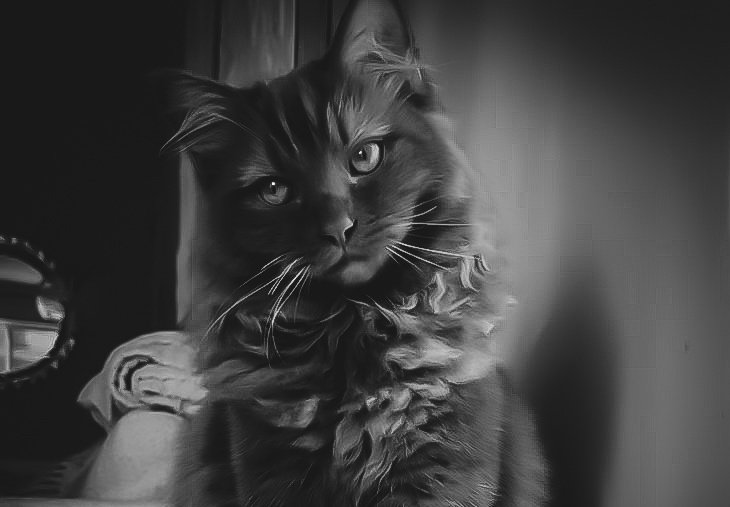 𝒥𝖾𝒛𝖾𝖻𝖾𝒍 tweet media