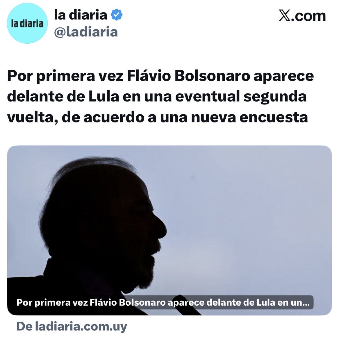 El Bagual bolso tweet media