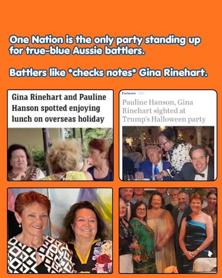 HARPERHP tweet media