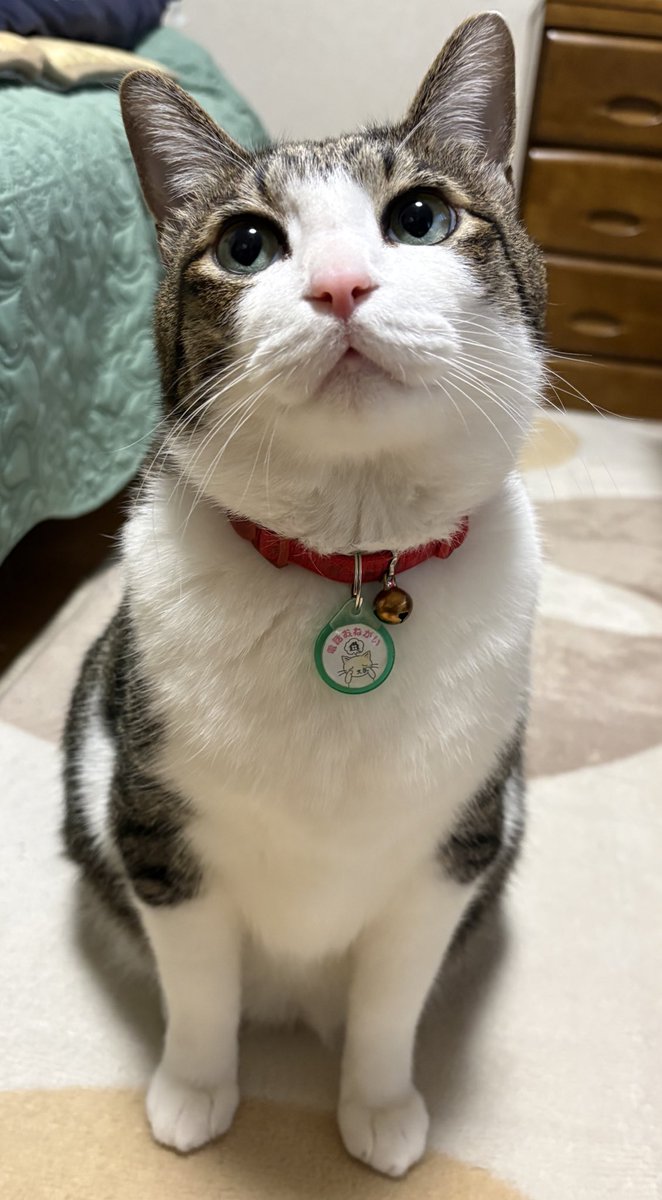 とこも tweet media