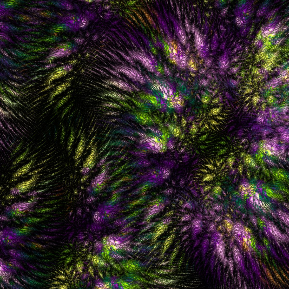 Gυɱɱყ | VYD3N tweet media