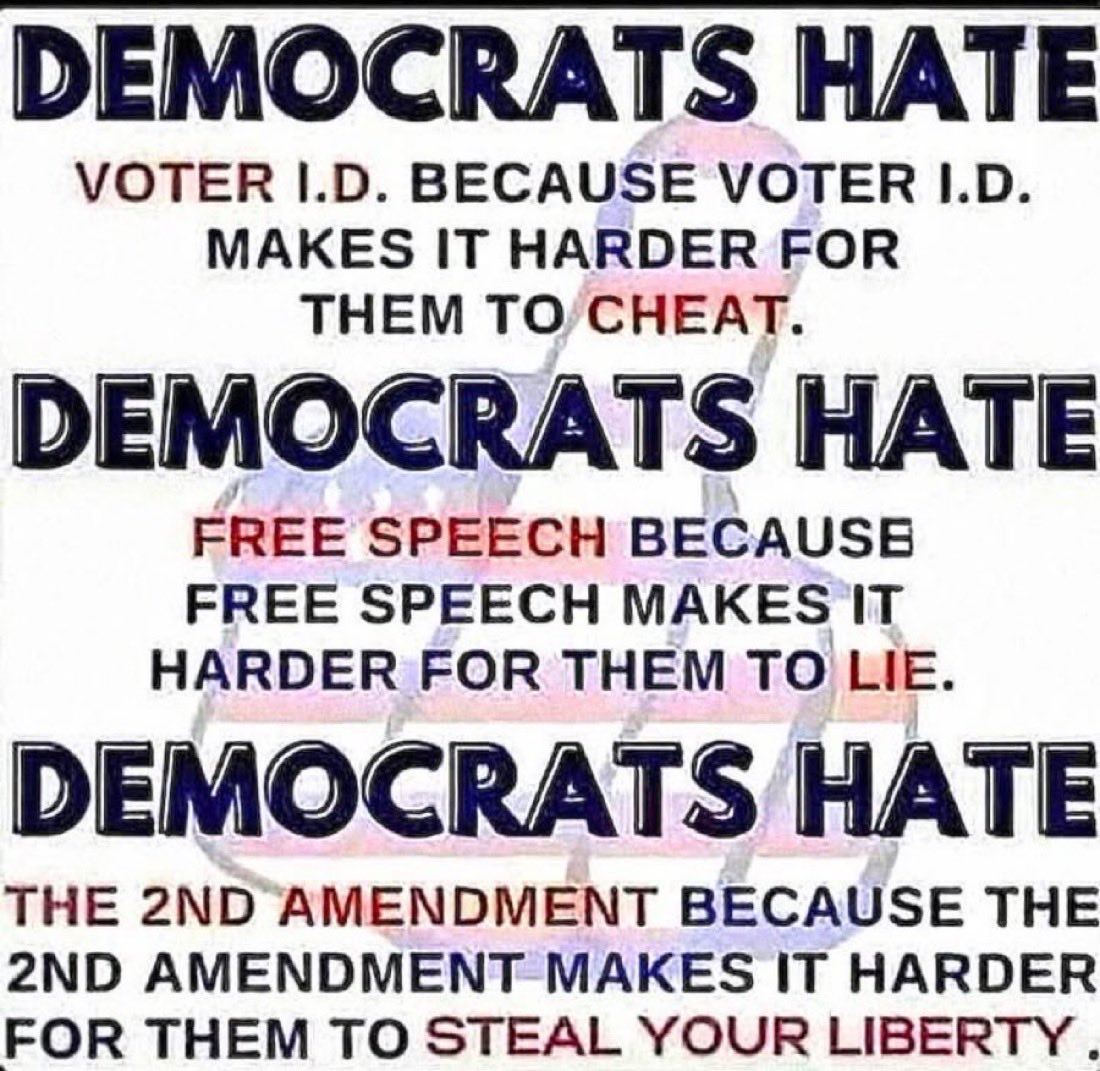 MAGA Voice tweet media