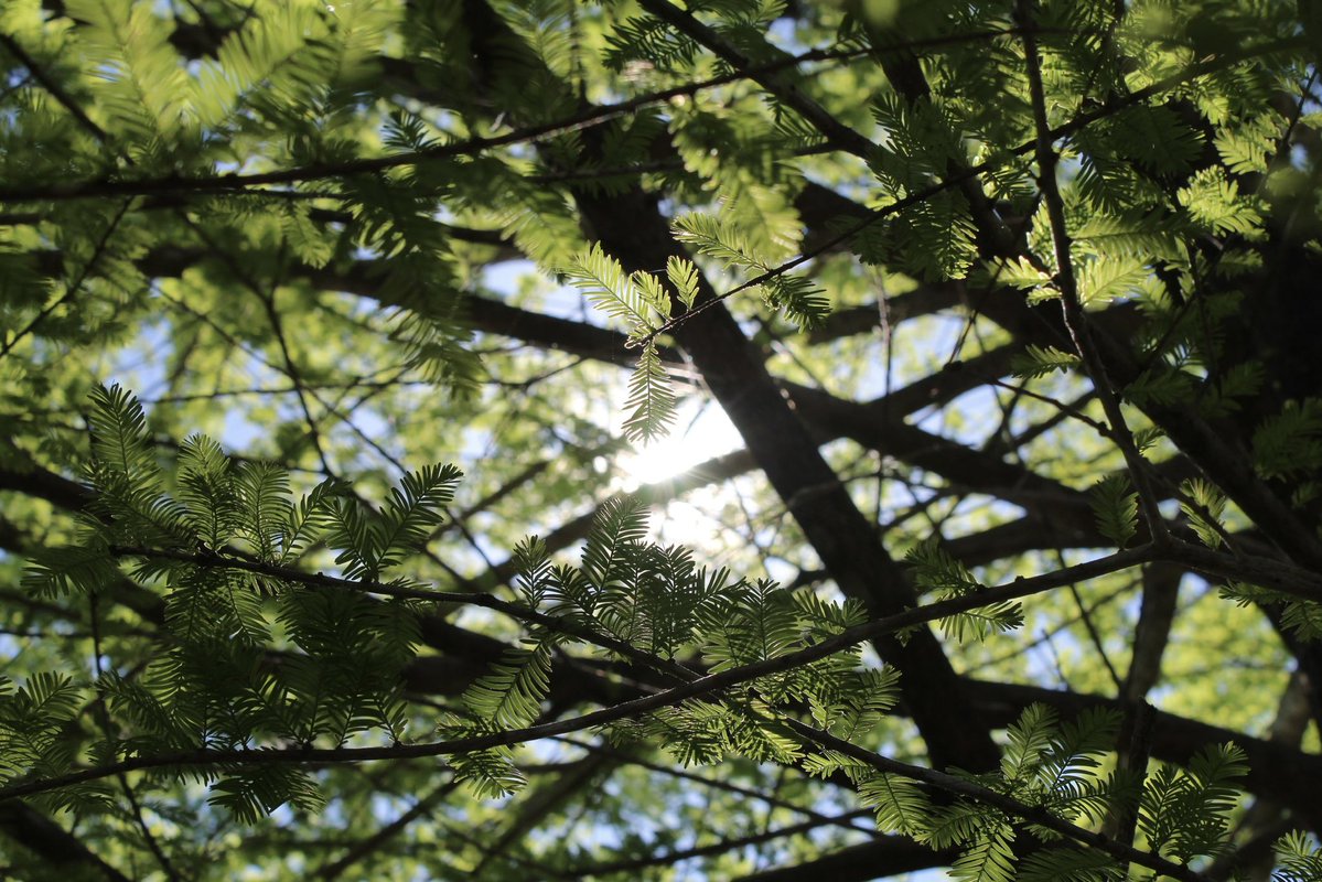 evil elly tweet media