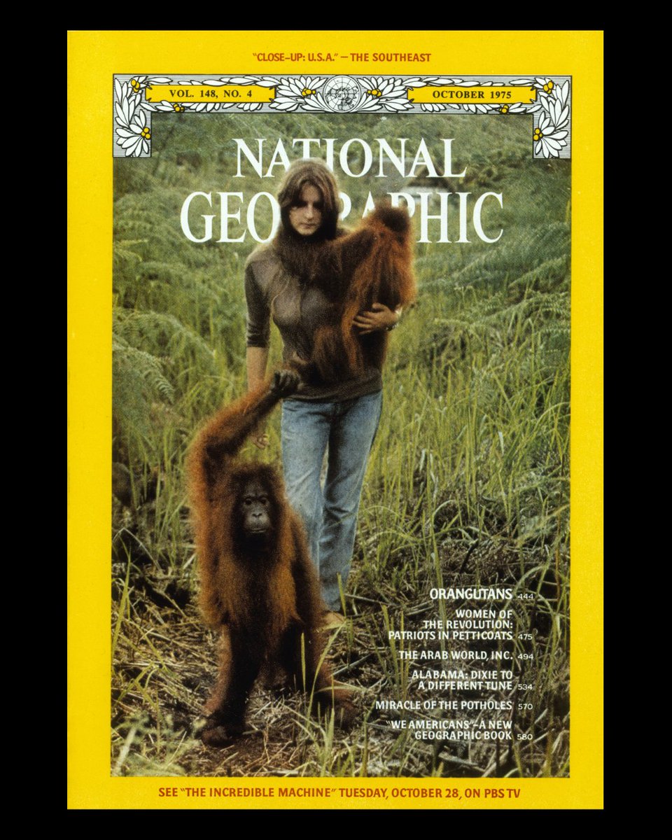 National Geographic tweet media
