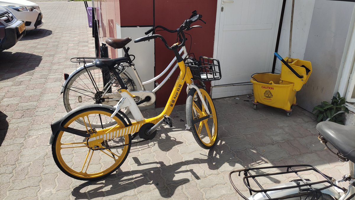 Joseph O'Shaughnessy tweet media