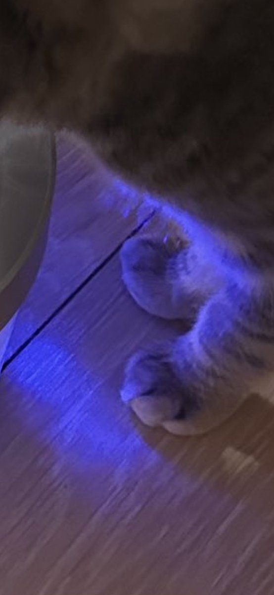 yaprak sarma tweet media