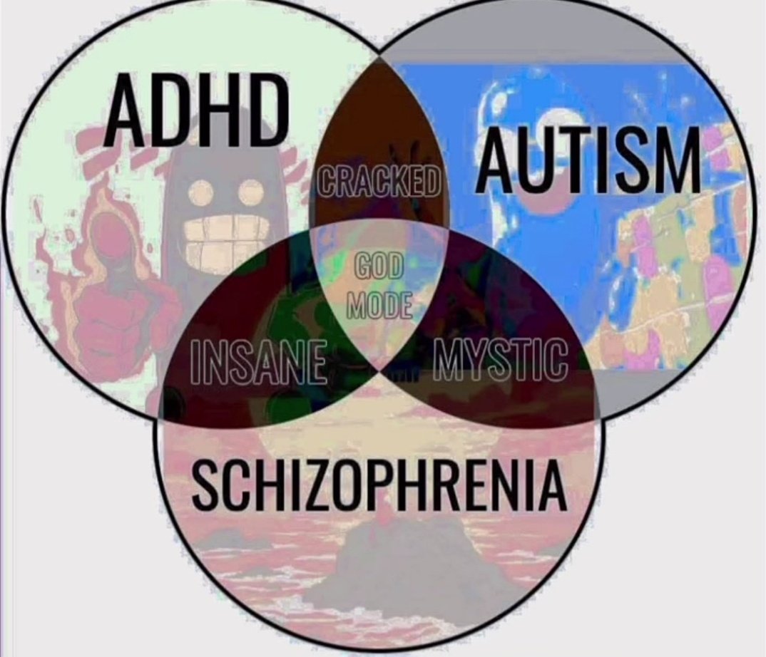 ziya_nur tweet media