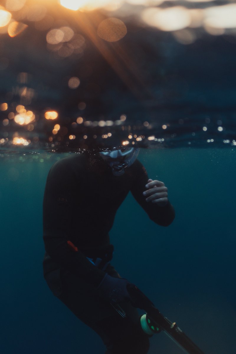 Ponzi Trader tweet media