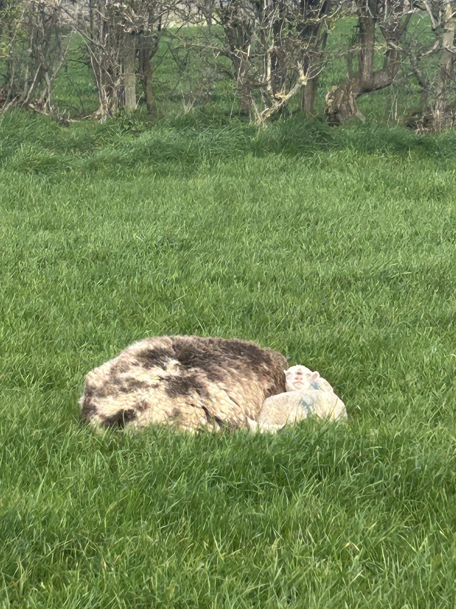 Rhian Jones tweet media