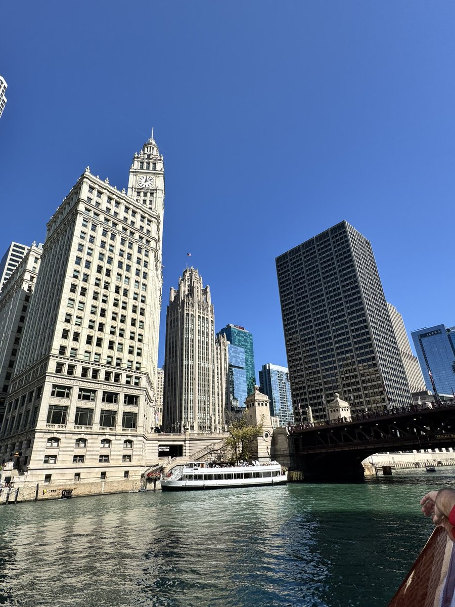 mandyhawk19 tweet media