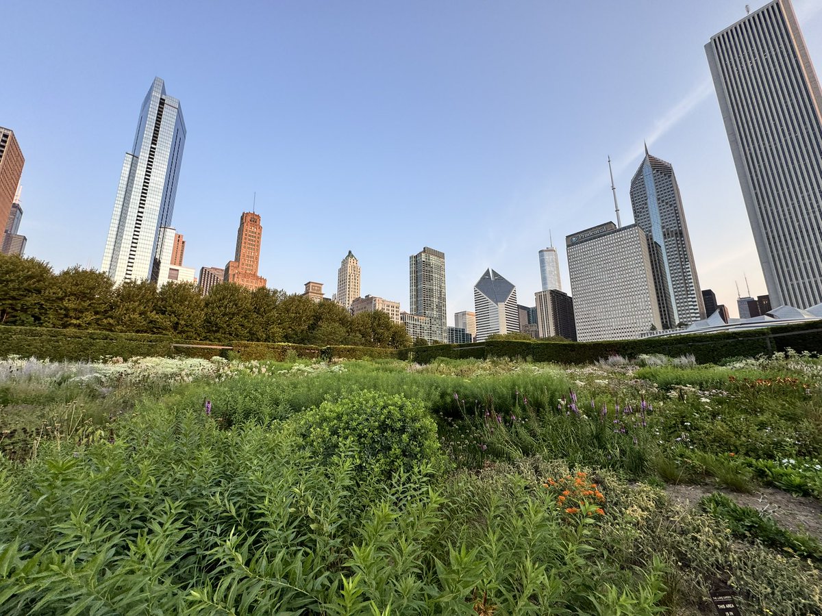 mandyhawk19 tweet media