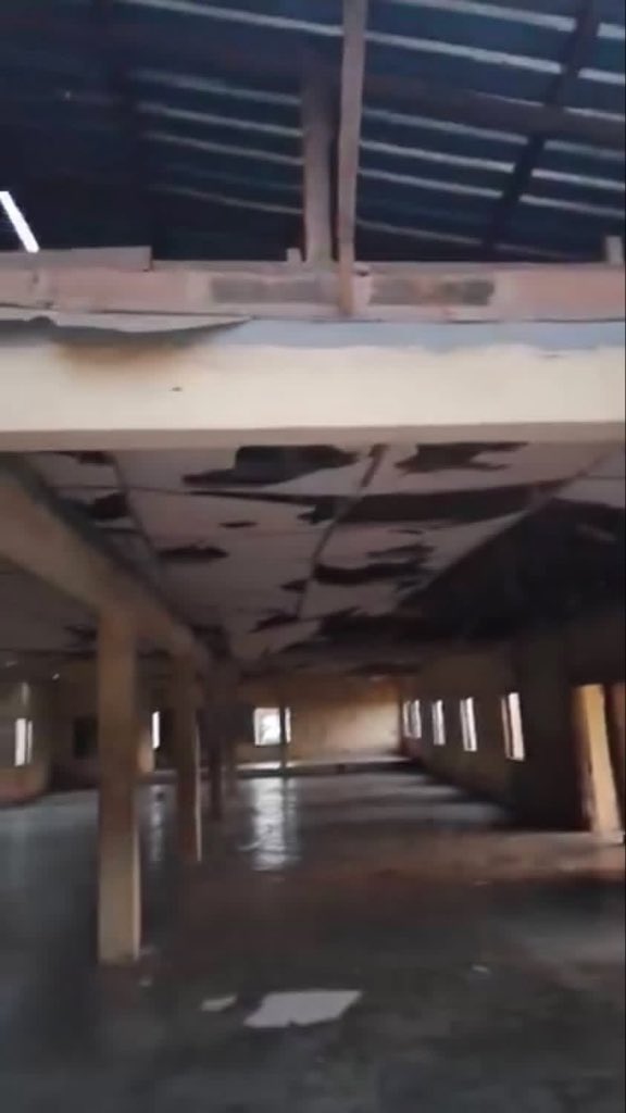 sunshine 🌞 tweet media