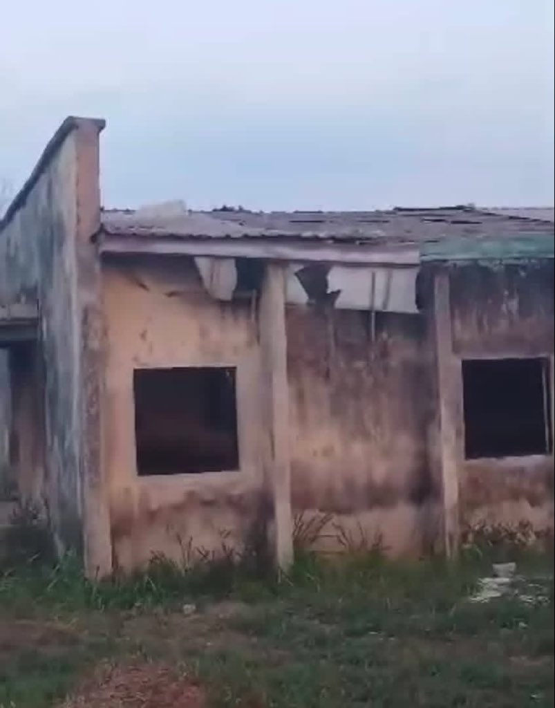 sunshine 🌞 tweet media