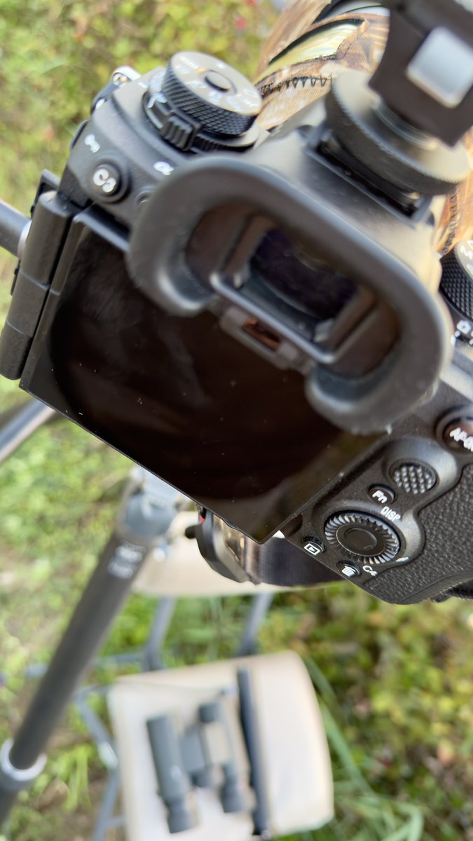 mm765【なむこ】-増田光俊- tweet media