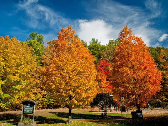 ElGuisanteVerde's tweet image. El Appalachian Trail, un sendero de leyenda que a lo largo de sus 3500 km, atraviesa #Vermont por el sur de las Green Mountains. Recorrer un tramo de este sendero os asegurará una experiencia magnífica de la fall folige season blgs.co/vg-FDj