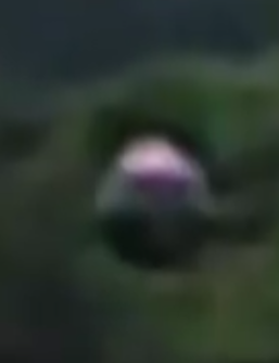 Fandomguy (Destructive Creation arc) 🍿 tweet media