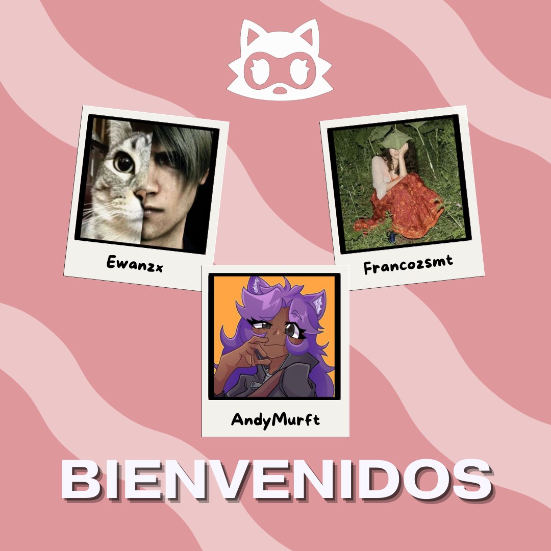 Machape Club tweet media