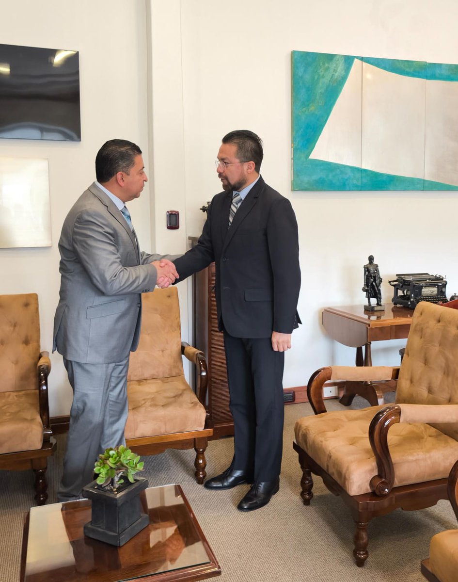 Elecaustro tweet media