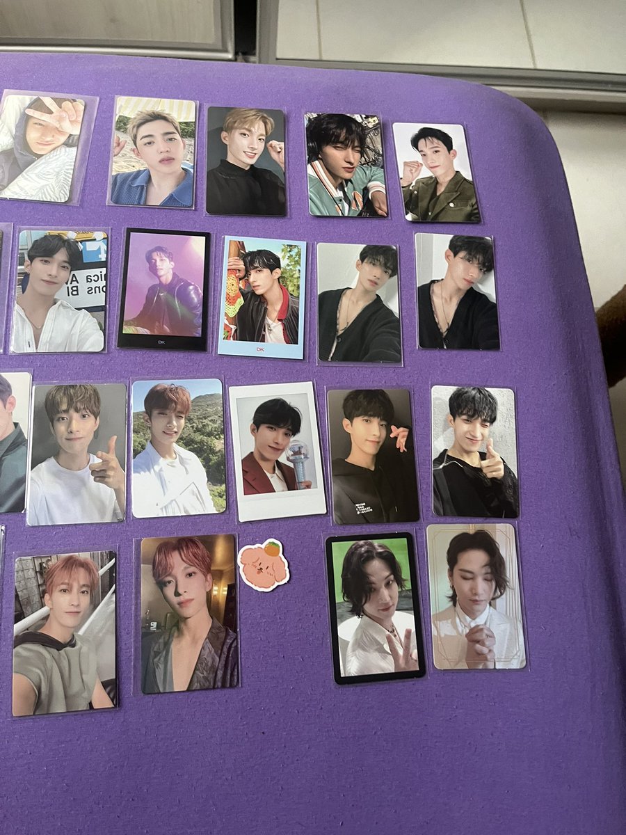 Sarah 🌻 tweet media