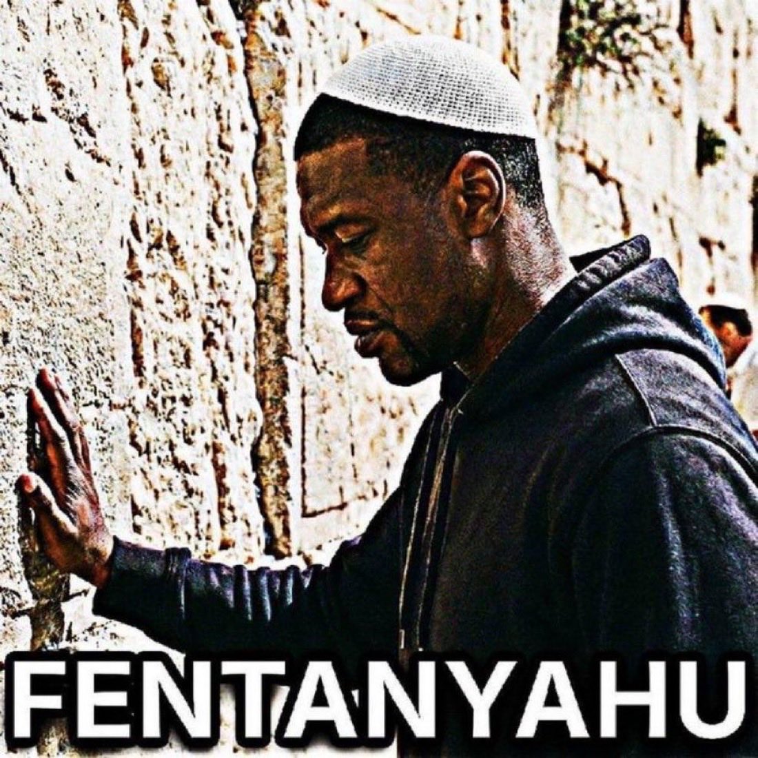 The Kitty Man tweet media