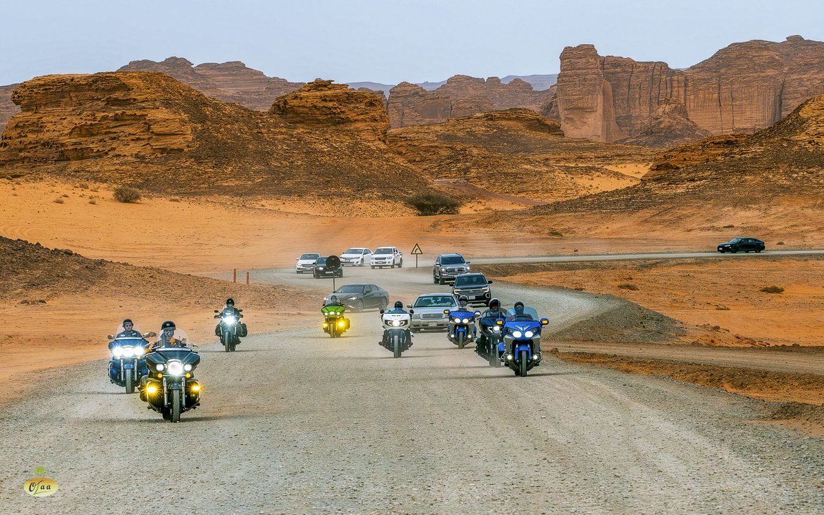 المملكة tweet media