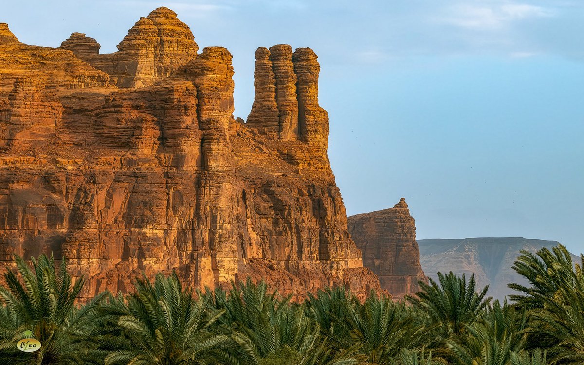 المملكة tweet media