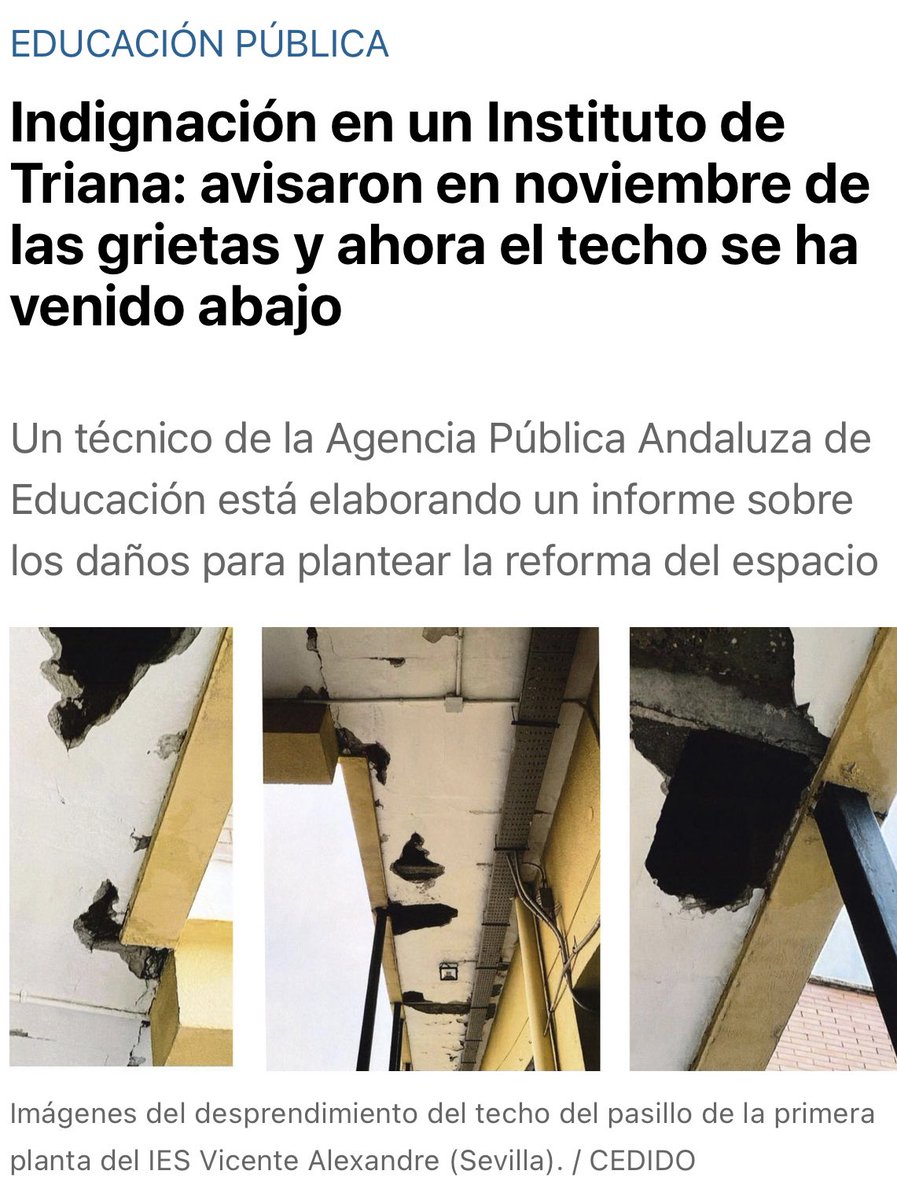 Alex Coca tweet media