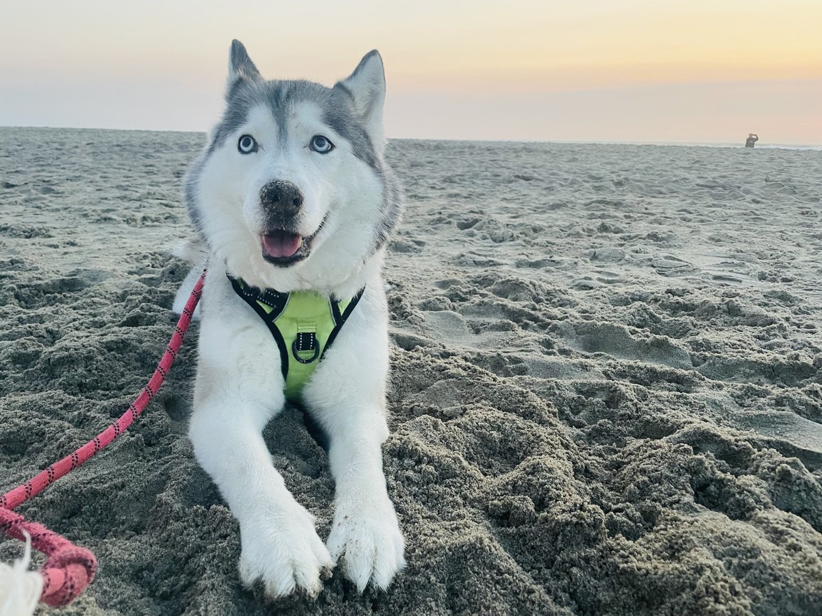 𝐿 ⋆. 𐙚 ˚ tweet media