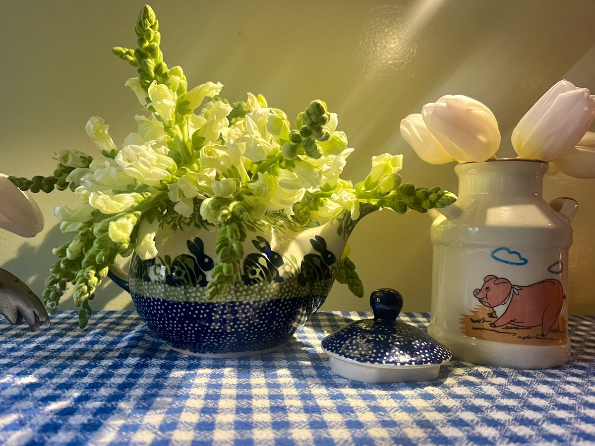 little bird tweet media