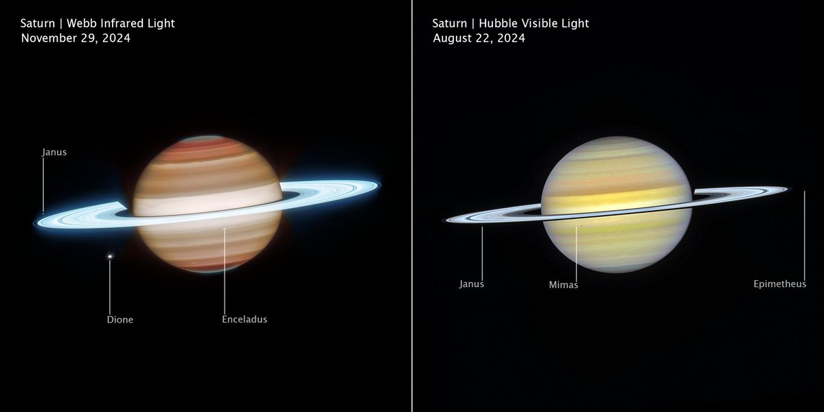 COSMOS tweet media