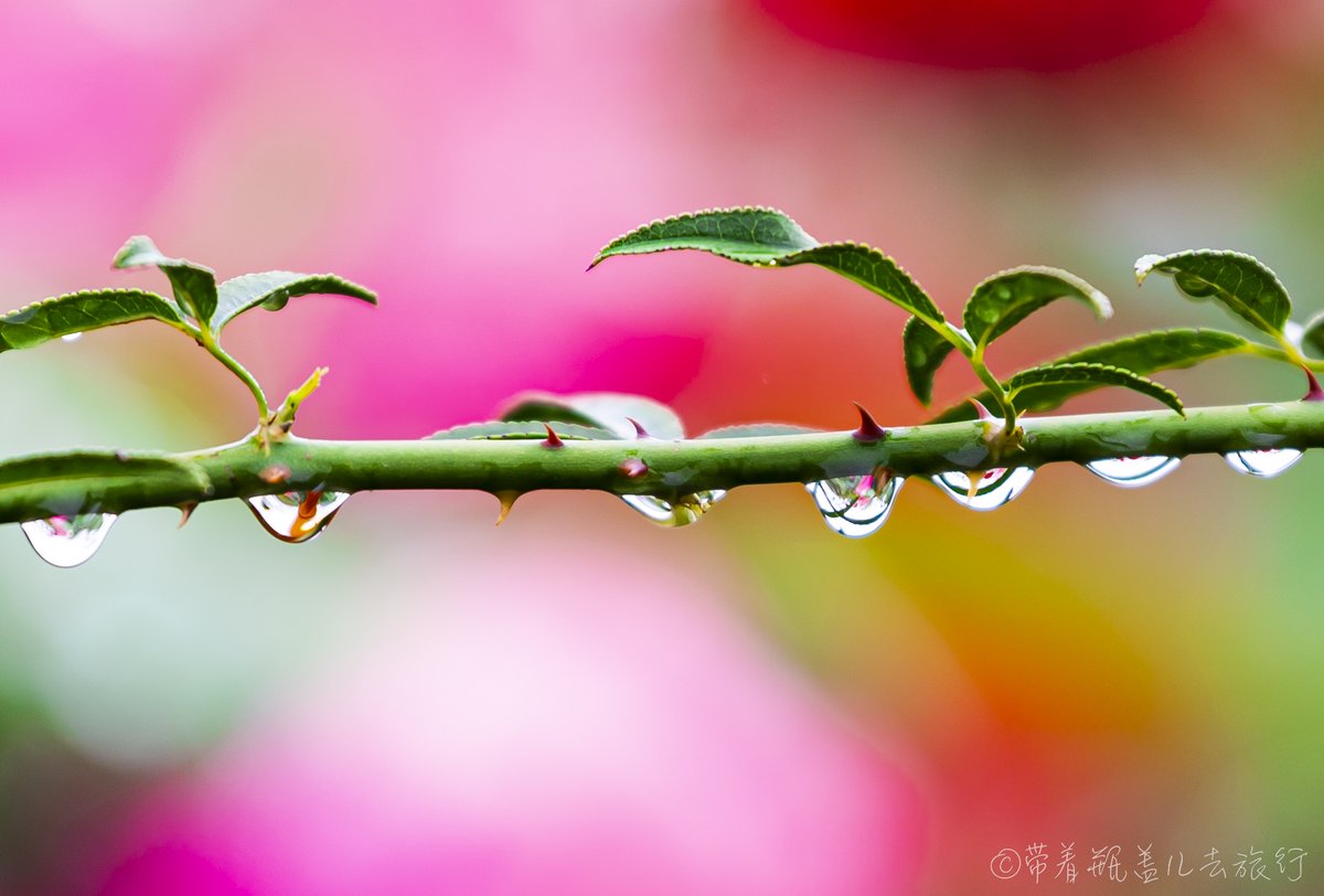 albertktte tweet media