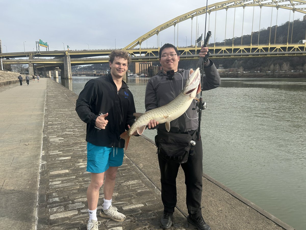 Ricky Sayer tweet media