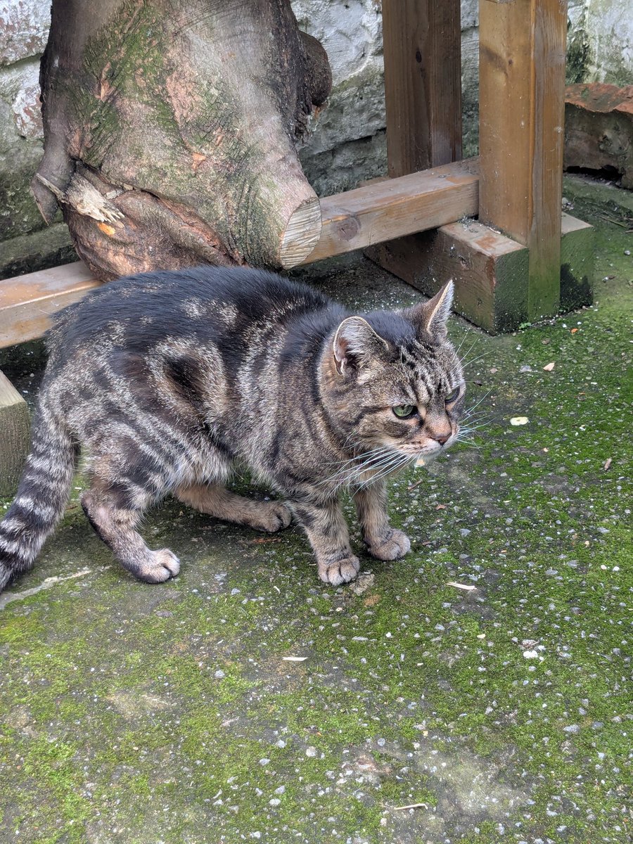 @Bryan 💜 Tinks tweet media