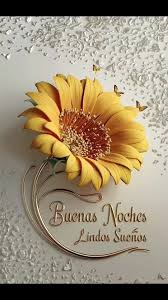 Juan Palma tweet media